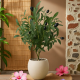 Artificial Plant